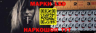 индика Дубна