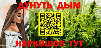 индика Дубна