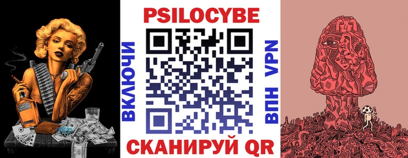 как найти закладки  Грозный  Галлюциногенные грибы Psilocybe 